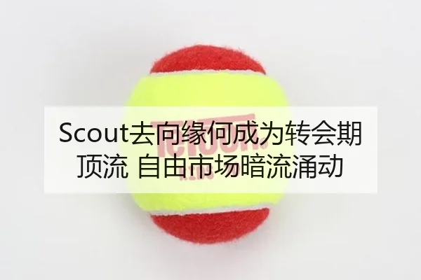 Scout去向缘何成为转会期顶流 自由市场暗流涌动