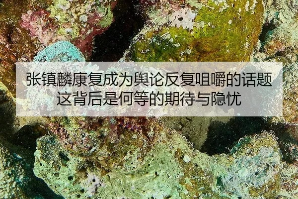张镇麟康复成为舆论反复咀嚼的话题 这背后是何等的期待与隐忧